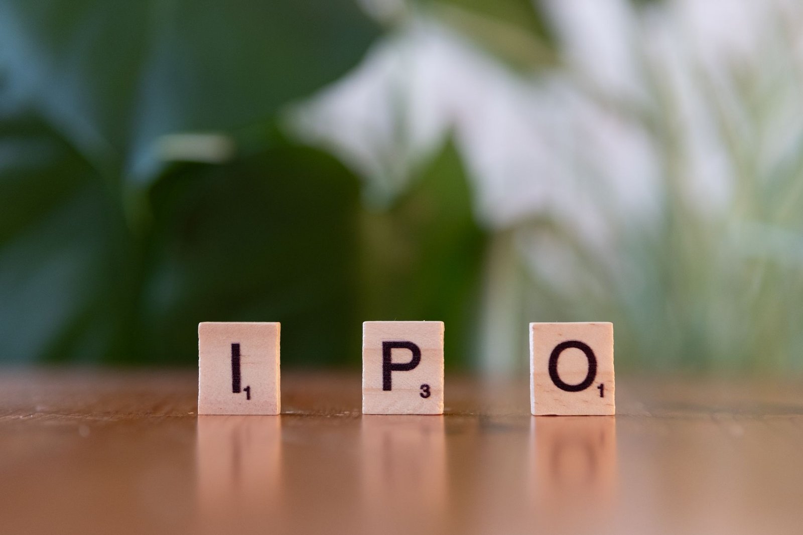 IPO companies in India